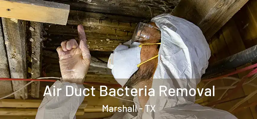 Air Duct Bacteria Removal Marshall - TX