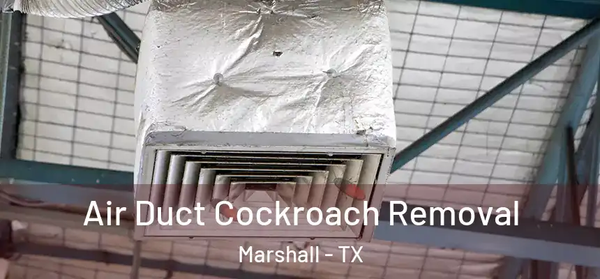 Air Duct Cockroach Removal Marshall - TX
