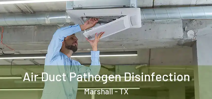 Air Duct Pathogen Disinfection Marshall - TX