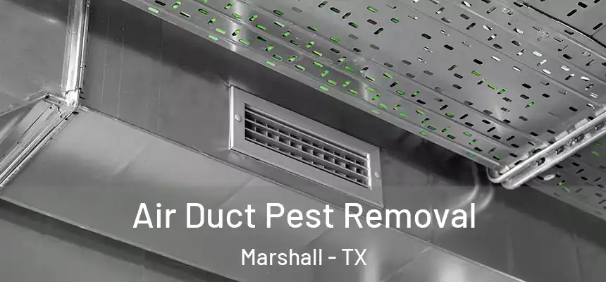 Air Duct Pest Removal Marshall - TX