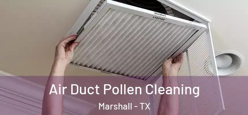 Air Duct Pollen Cleaning Marshall - TX