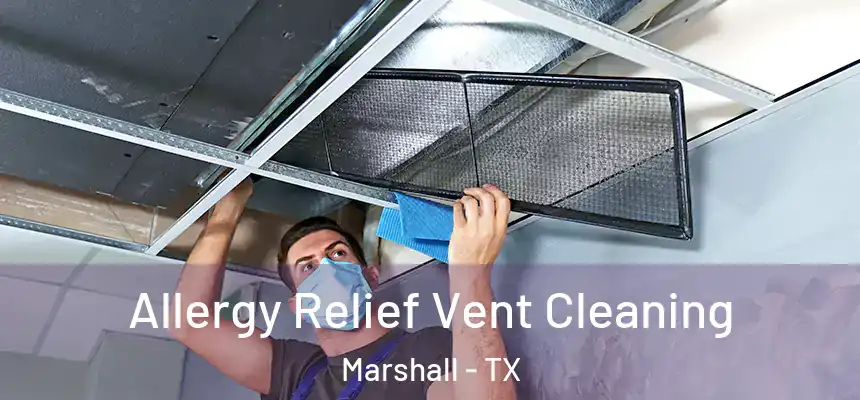 Allergy Relief Vent Cleaning Marshall - TX
