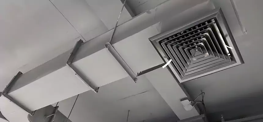 Restorative Allergy Relief Vent Cleaning – Coil, Blower & Housing Detail in Marshall