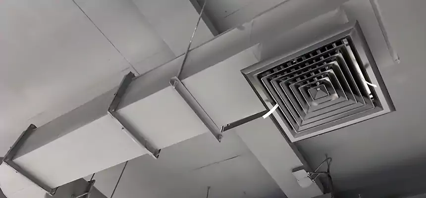 Our Pest Removal From Ducts Services in Marshall, TX