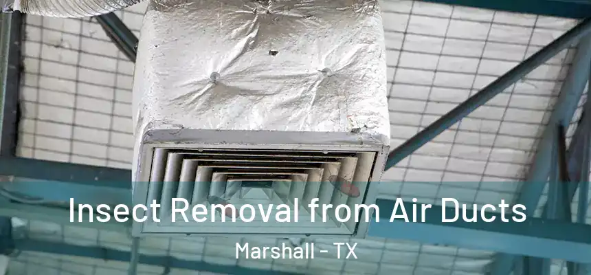 Insect Removal from Air Ducts Marshall - TX