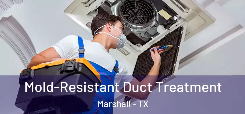 Mold-Resistant Duct Treatment Marshall - TX