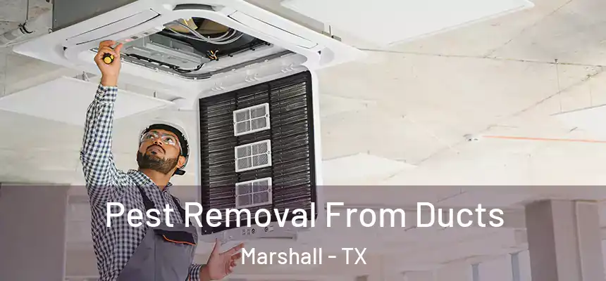 Pest Removal From Ducts Marshall - TX