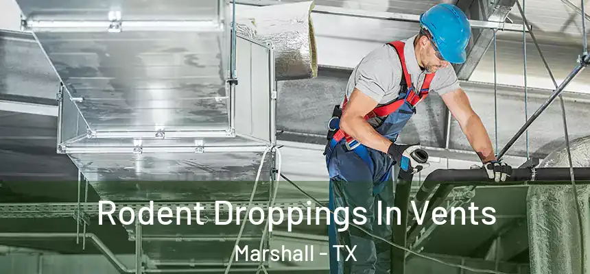  Rodent Droppings In Vents Marshall - TX
