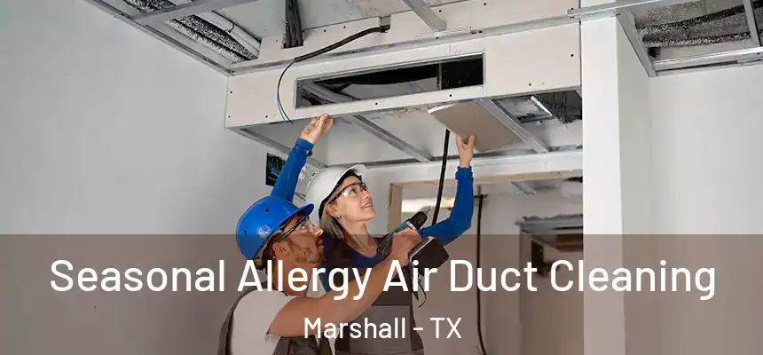  Seasonal Allergy Air Duct Cleaning Marshall - TX