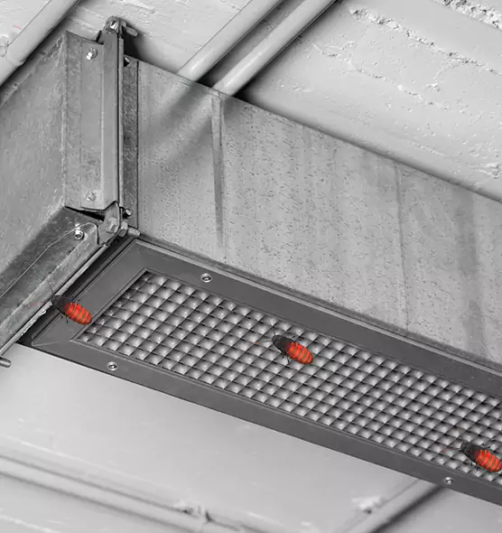 Affordable Insect Removal from Air Ducts in Marshall, TX