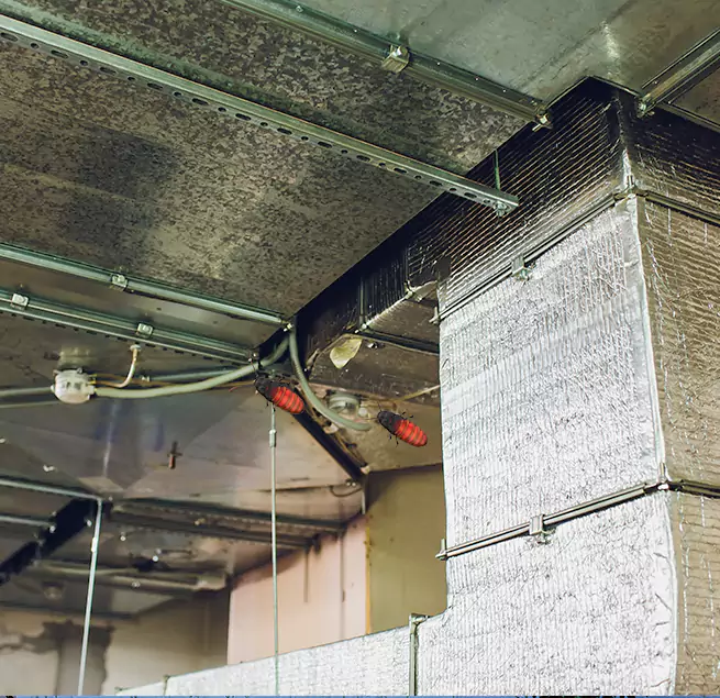 Why Homeowners & Businesses Trust Us in Marshall, TX?