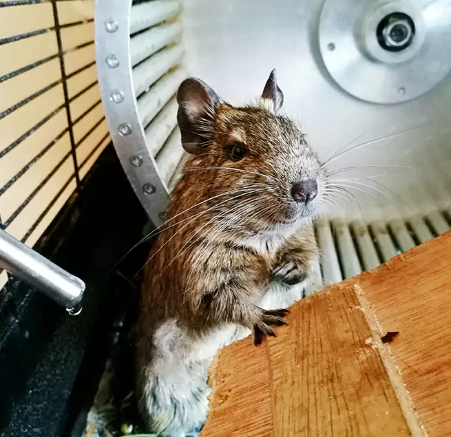 Why Homeowners & Businesses Trust Us Marshall, TX?