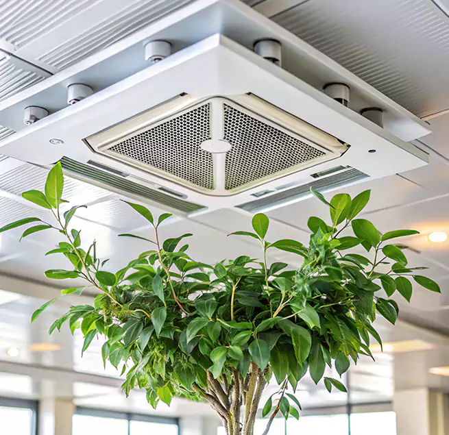 Why Homeowners & Businesses Trust Us in Marshall, TX?